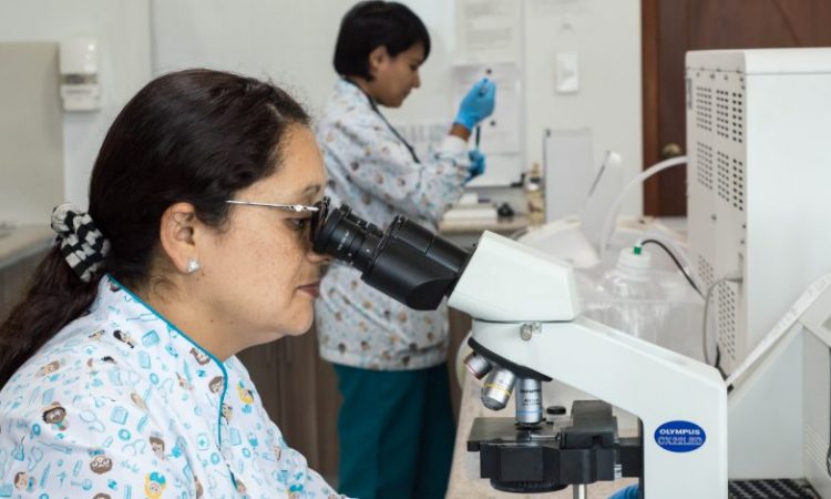 It is widely assumed that sciences offer students a ‘safe’ future. While there are many opportunities available, expectations do not always align with reality