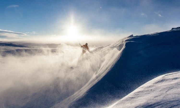 Principles in Action: Change is inevitable in career development. Fear of it shouldn't be