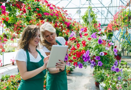 two women working in a garden centre