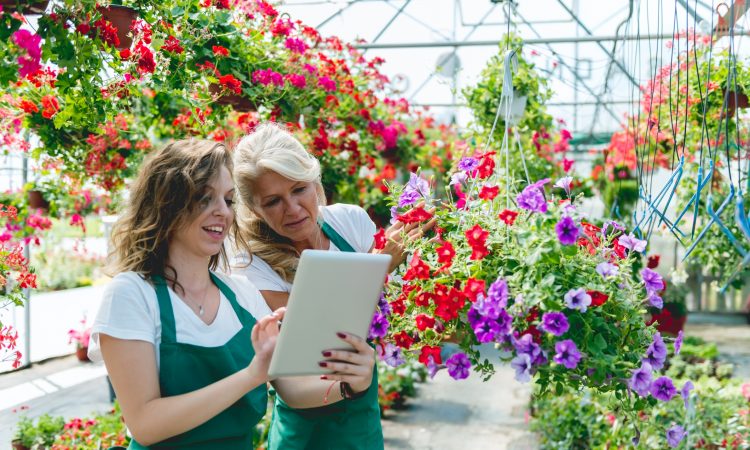 two women working in a garden centre