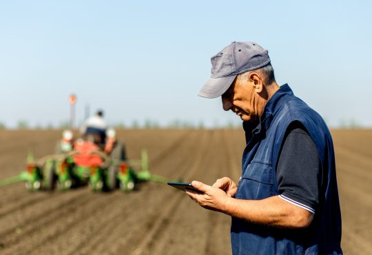 Senior farmer in field examining sowing and holding tablet in his hands.