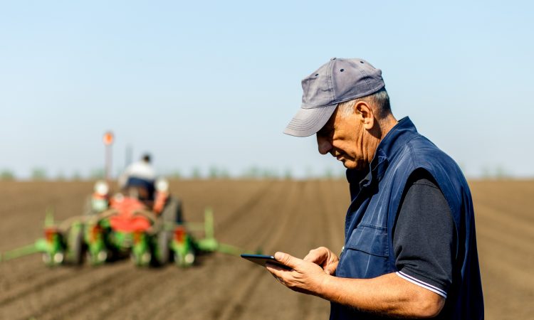 Senior farmer in field examining sowing and holding tablet in his hands.