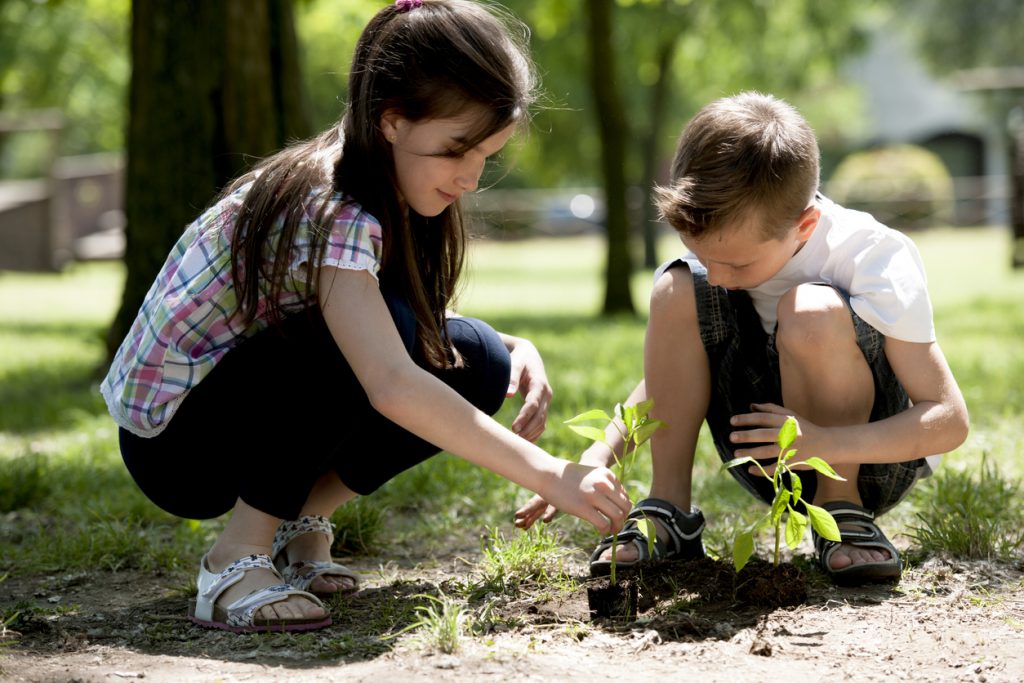 Children planting a new tree.