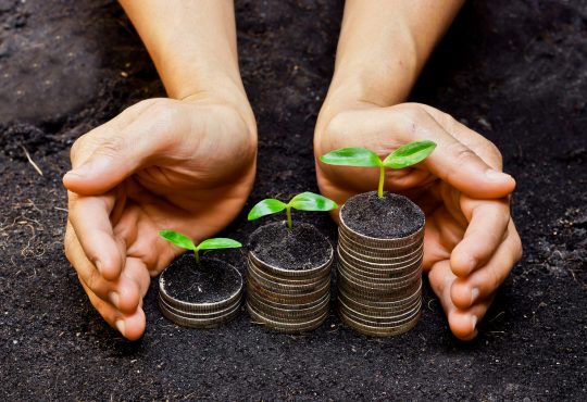 hands holding tress growing on coins