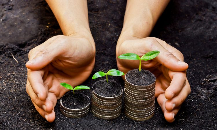 hands holding tress growing on coins