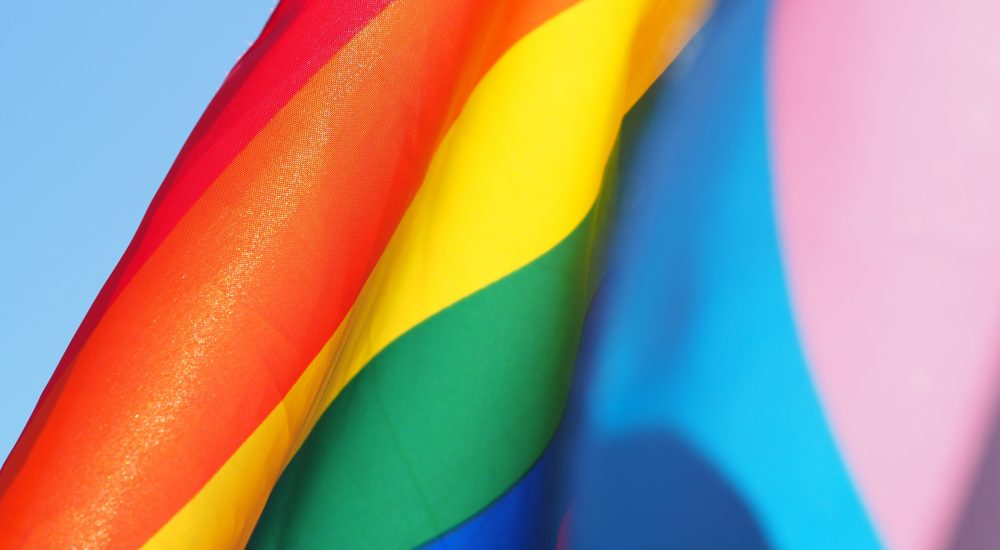 pride and transgender pride flags