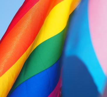 pride and transgender pride flags