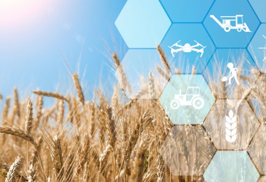 Precision agriculture network icons on wheat field background