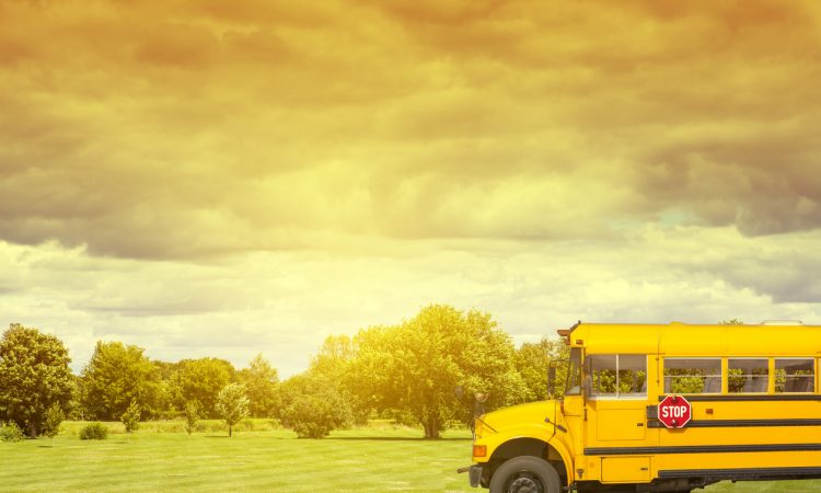 School Bus on american country road in the morning