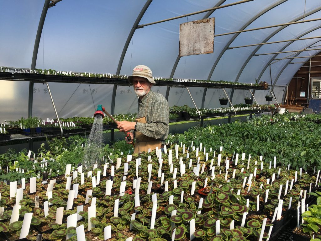 a man watering plants in a greenhouse