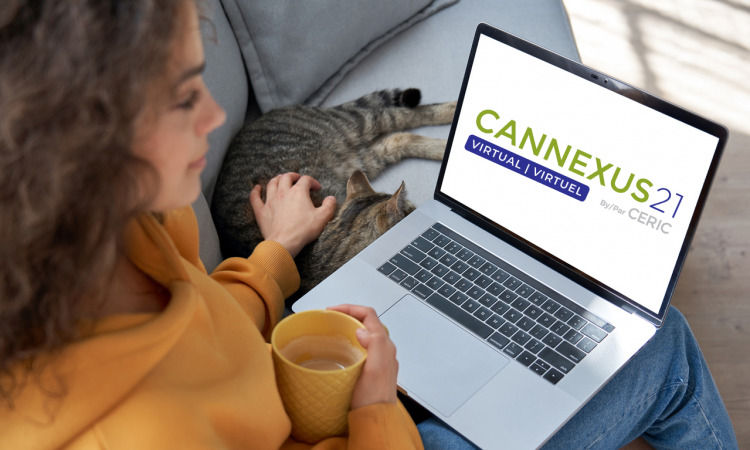 woman sitting on couch using laptop with cat beside her
