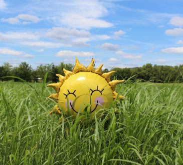 smiling sun-shaped ballon in grass