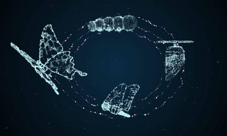 Technology transformation concept using butterfly evolution