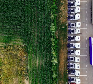 Transport trucks parked beside farmer's field