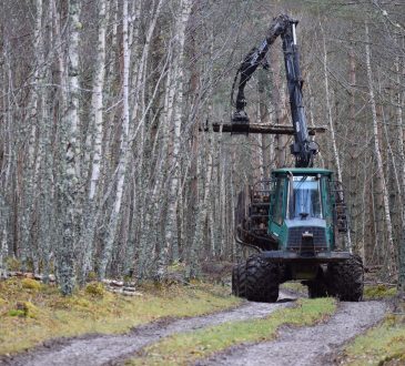Tractor driving through forest