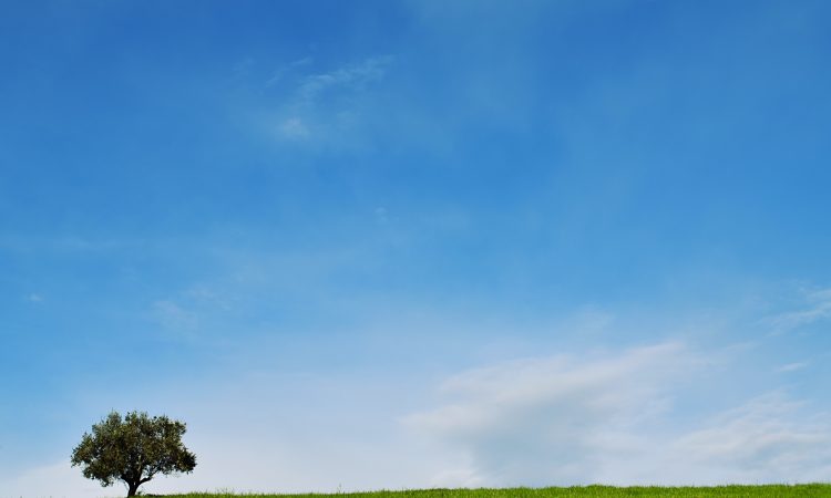 Blue sky above green field