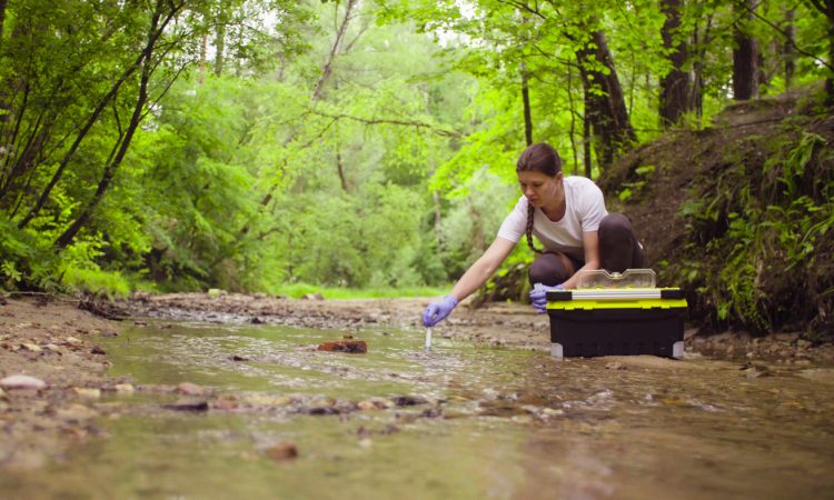 Woman taking sample of water from stream