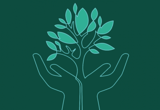 Illustration of open hands with tree in between