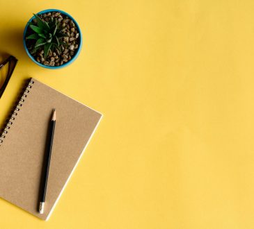 notebook and pencil on yellow desk with cactus plant