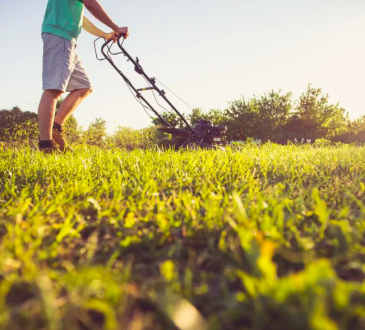 Young person mowing lawn