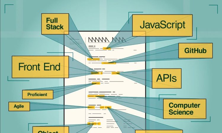 Illustration of full-stack developer resume