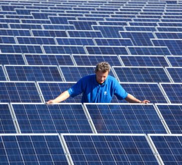 Worker amid array of solar panels