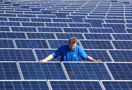 Worker amid array of solar panels