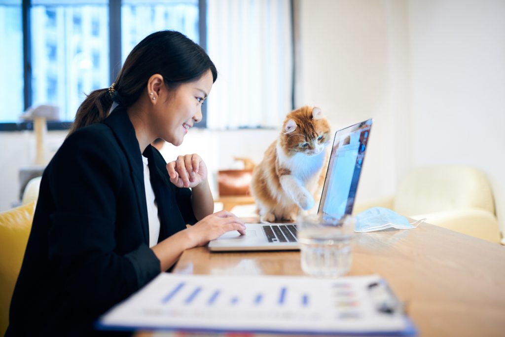 Woman working on laptop while cat paws at screen.