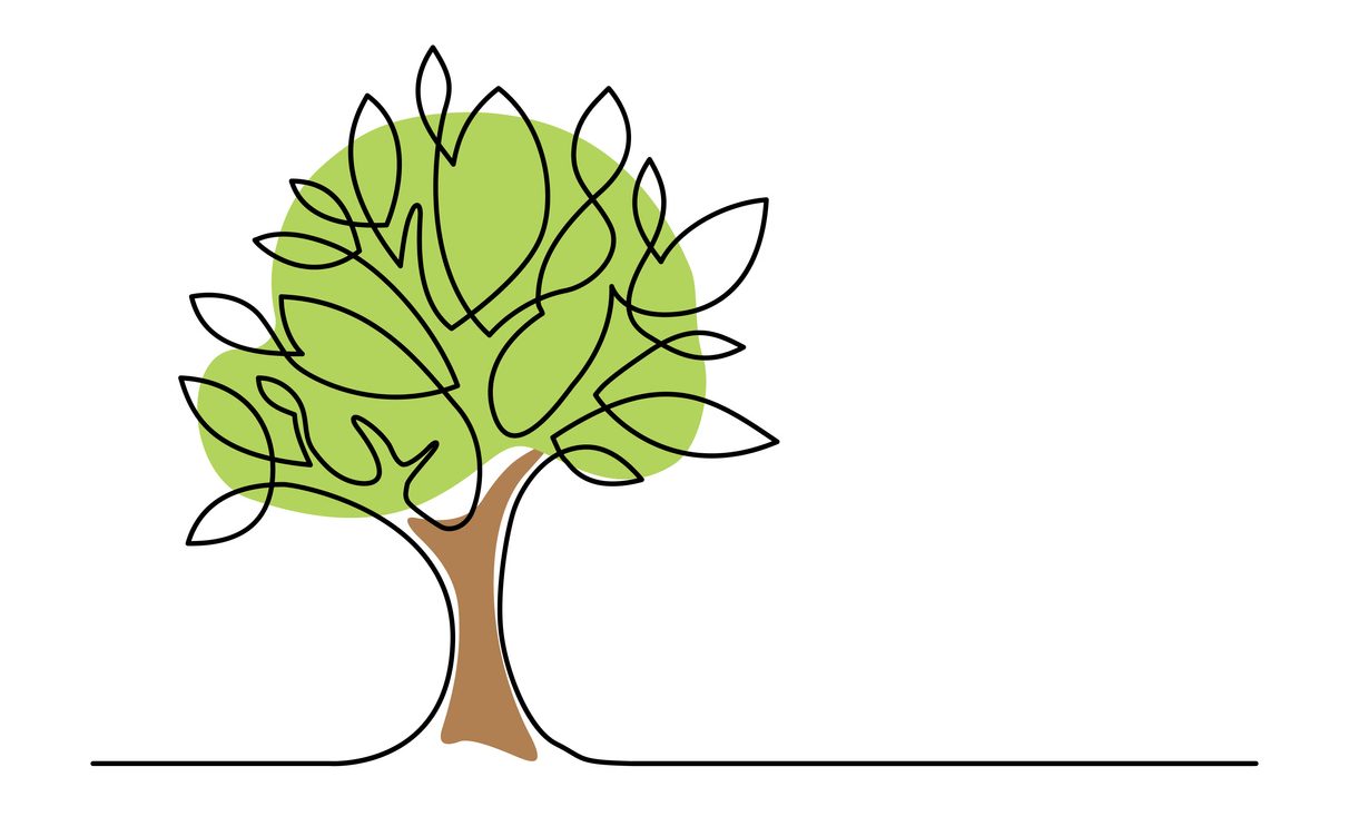 Line drawing of a tree