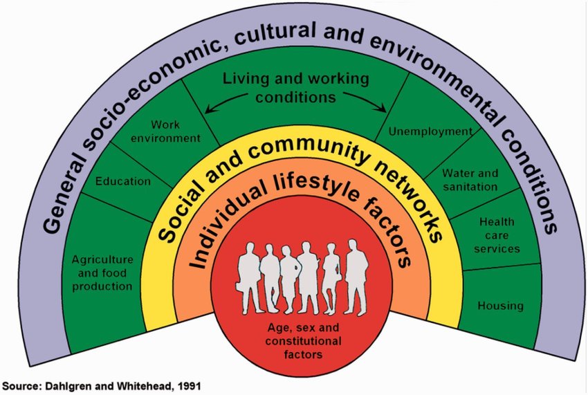 Concentric circles representing social determinants of health. From outside layer to inner: General socio-economic, cultural and environmental conditions; Living and working conditions; Social and community networks; Individual lifestyle factors; Age, sex and constitutional factors