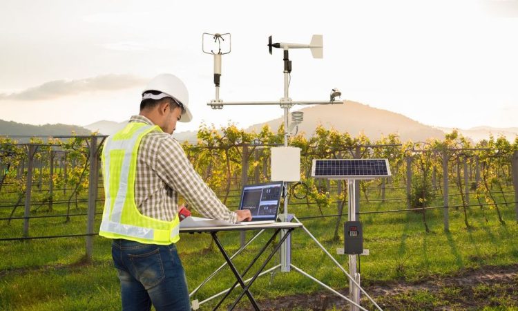 Agronomist using tablet computer to collect data with meteorological instrument in grape field