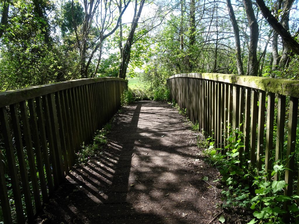 A mossy bridge leads through a forest.