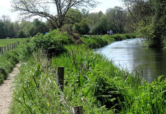 Photo of river surrounded by lush greenery and trees. People can be seen walking in the distance.