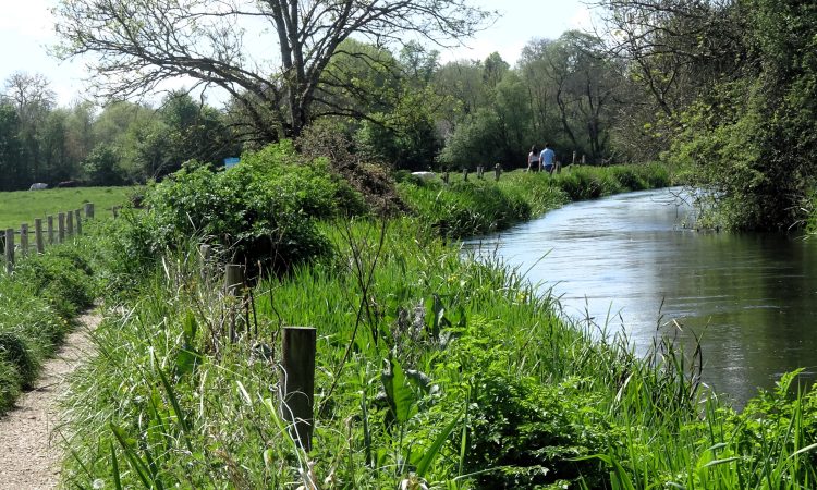 Photo of river surrounded by lush greenery and trees. People can be seen walking in the distance.