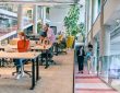 In a modern startup office, a diverse group of young professionals collaboratively works