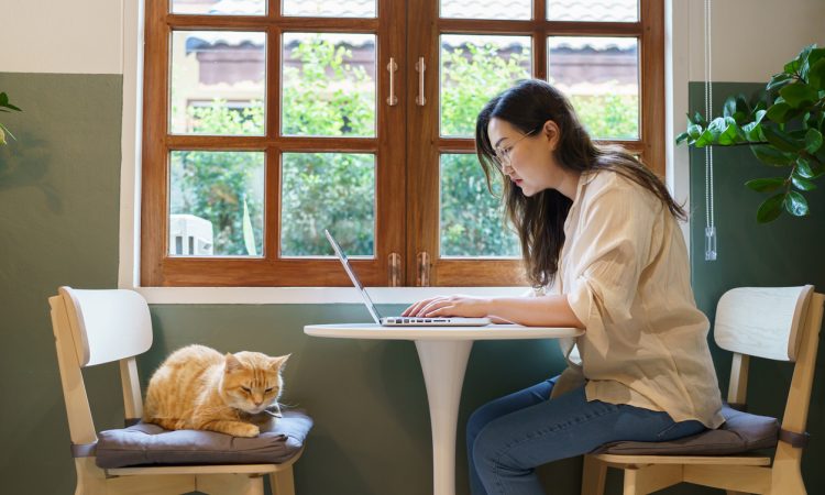 A young woman working on a laptop at a small table by a window, with a cat resting on a chair beside her.