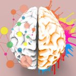 Brain left and right creativity functions