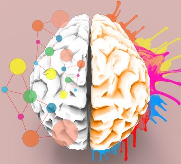 Brain left and right creativity functions