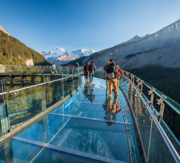 Tourists standing on glass-floored observation deck at Jasper National Park