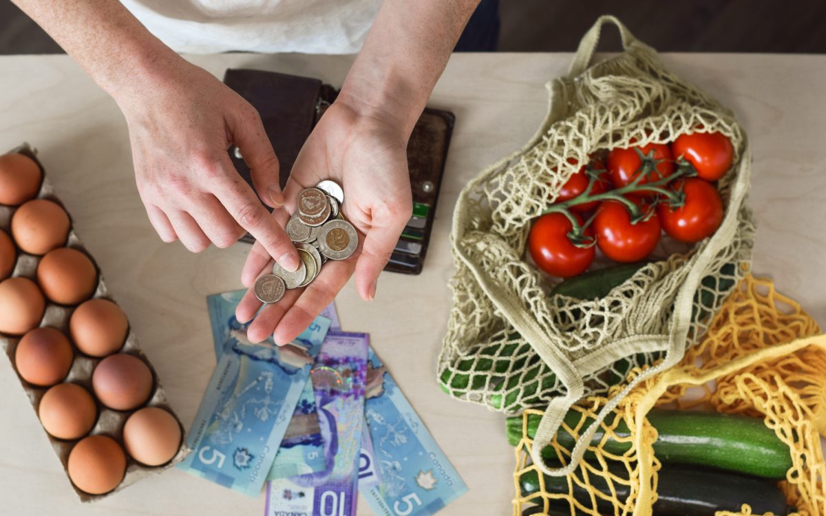 Groceries on counter surrounding hands of person counting cash