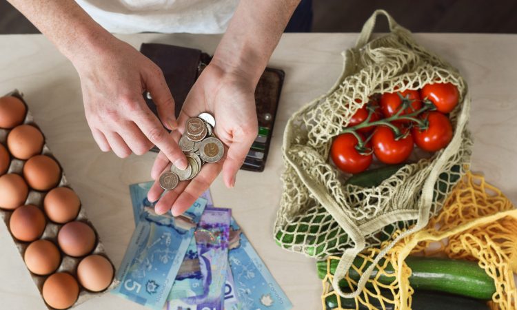 Groceries on counter surrounding hands of person counting cash