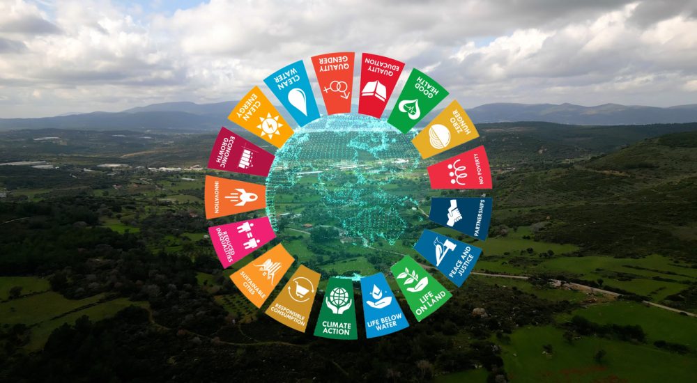 Cards showing Sustainable Development Goals overlaid on top of landscape of trees