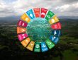 Cards showing Sustainable Development Goals overlaid on top of landscape of trees