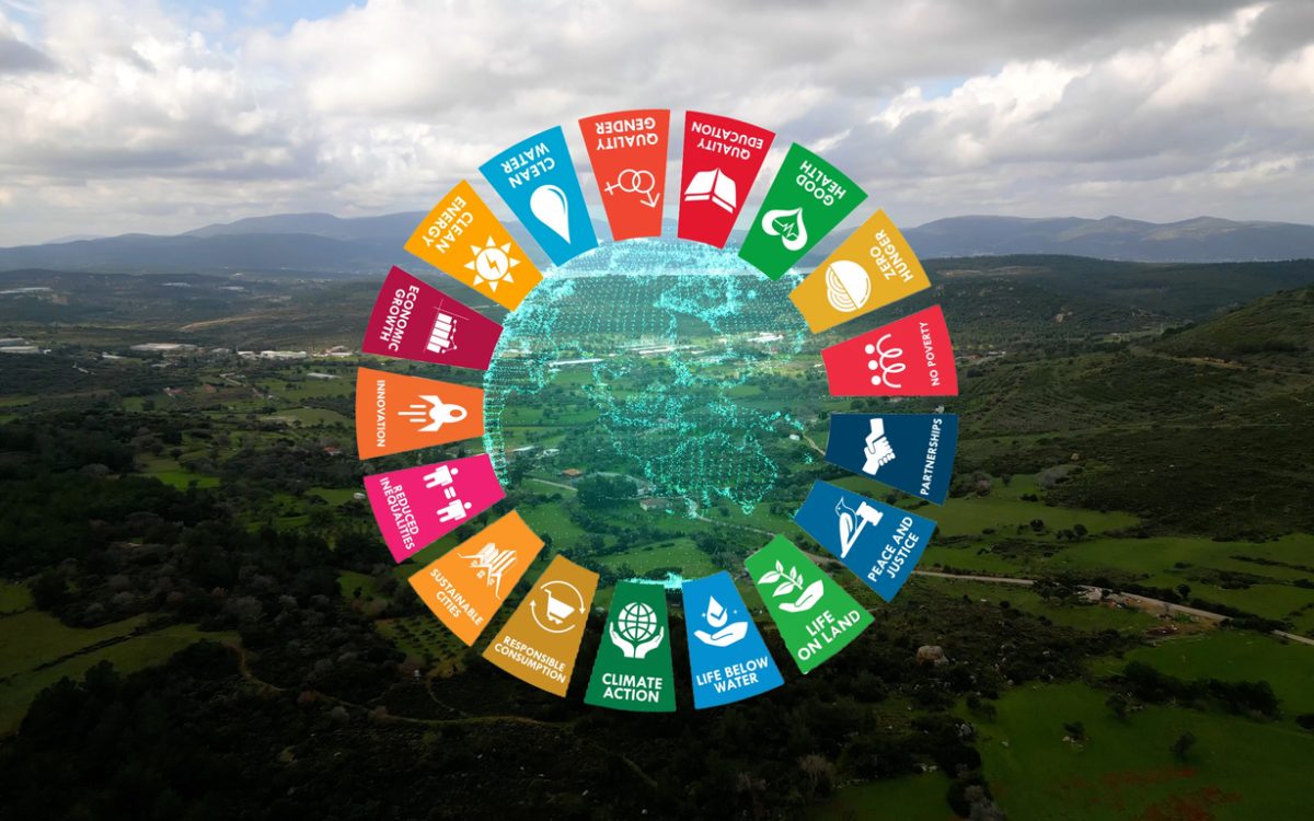 Cards showing Sustainable Development Goals overlaid on top of landscape of trees