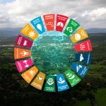 Cards showing Sustainable Development Goals overlaid on top of landscape of trees