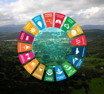 Cards showing Sustainable Development Goals overlaid on top of landscape of trees