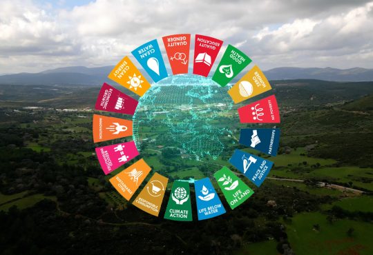 Cards showing Sustainable Development Goals overlaid on top of landscape of trees