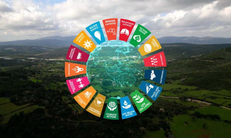Cards showing Sustainable Development Goals overlaid on top of landscape of trees