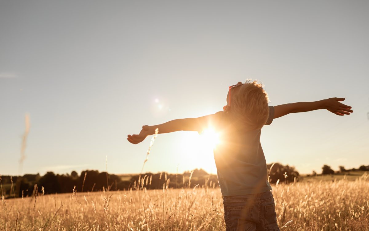 Happy little boy child standing in a meadow with arms outstretched.
