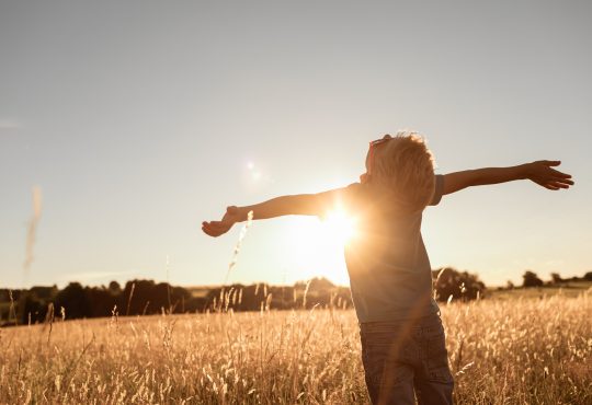 Happy little boy child standing in a meadow with arms outstretched.